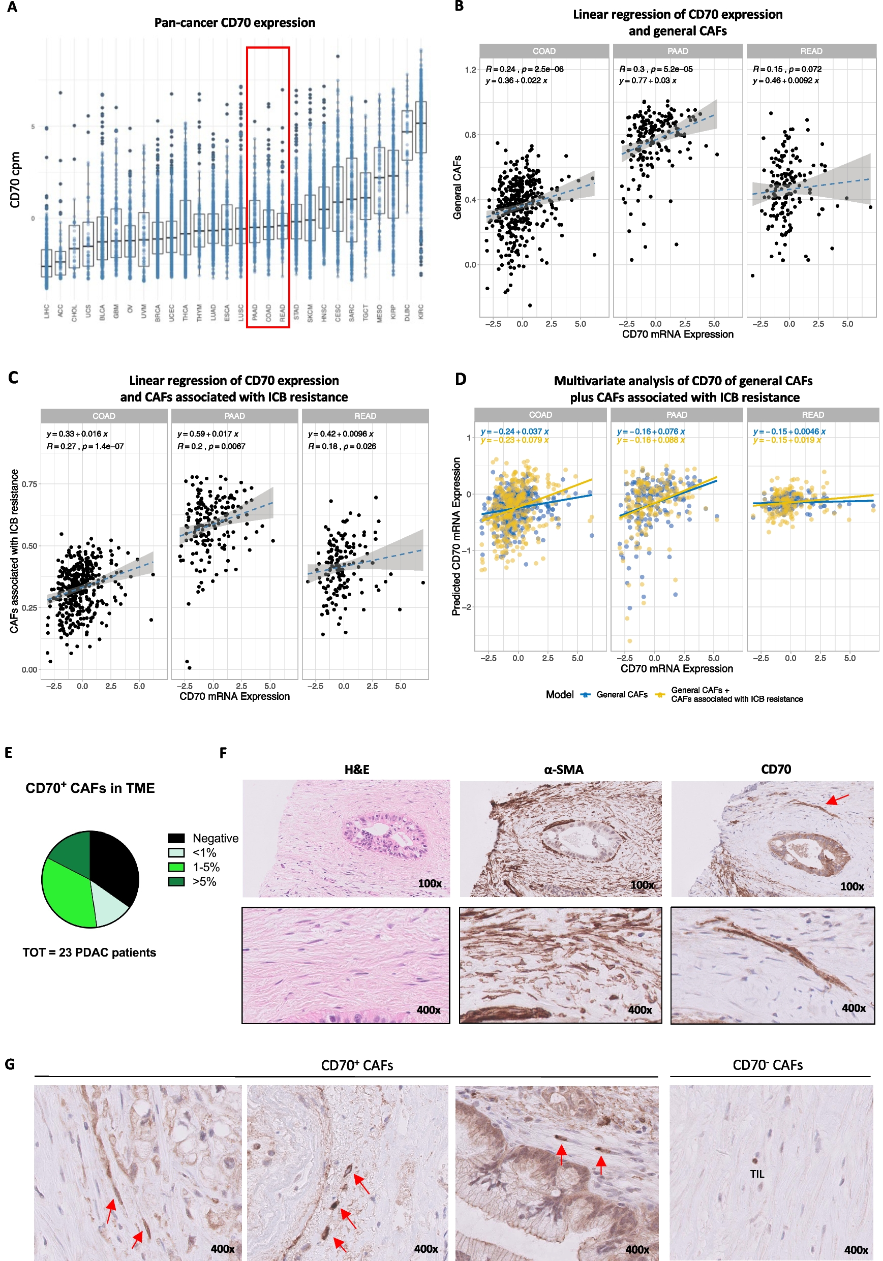IL-15-secreting CAR natural killer cells directed toward the pan-cancer target CD70 eliminate both cancer cells and cancer-associated fibroblasts