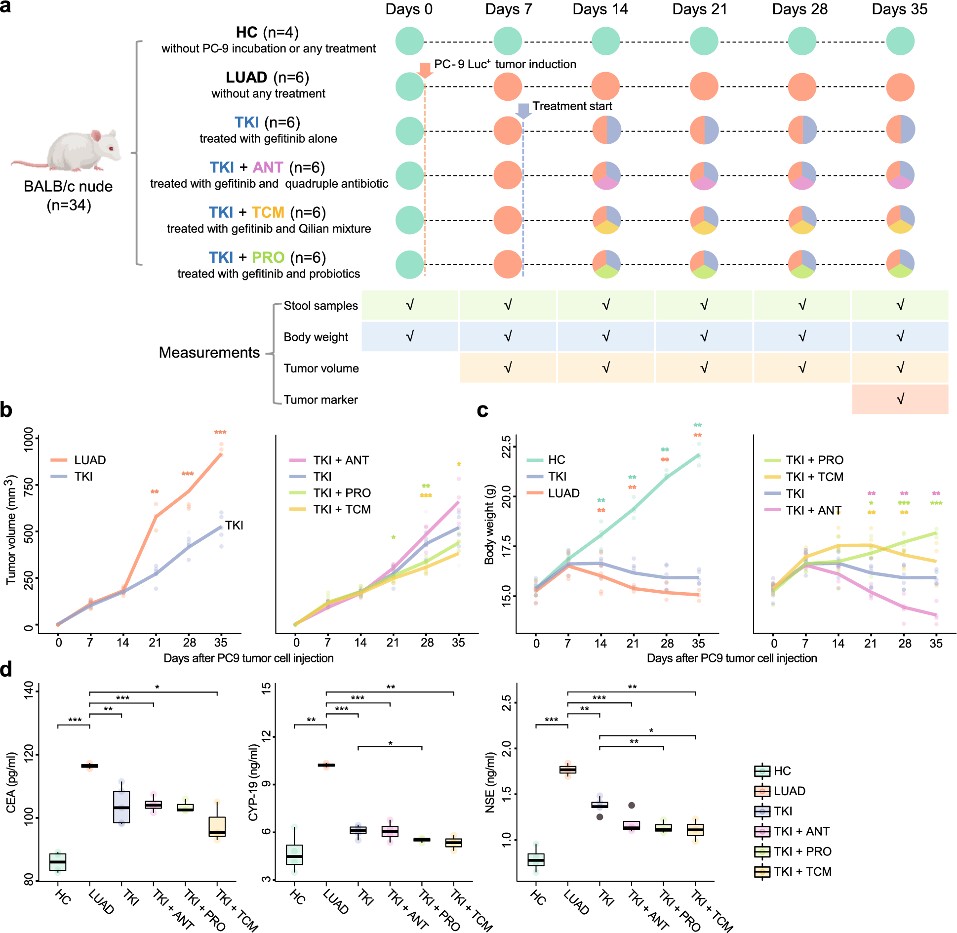 Revealing the role of the gut microbiota in enhancing targeted therapy efficacy for lung adenocarcinoma