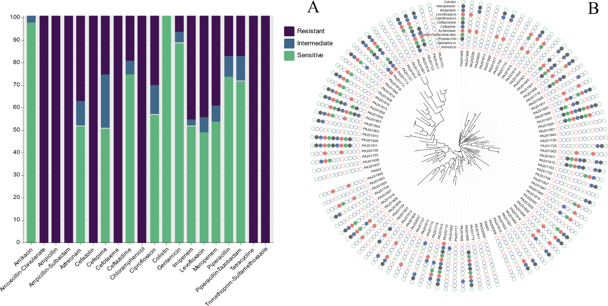 Antimicrobial resistance survey and whole-genome analysis of nosocomial P. Aeruginosa isolated from eastern Province of China in 2016–2021