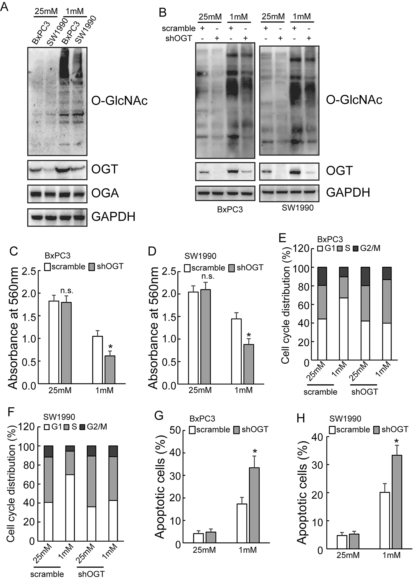 O-GlcNAcylation of TRIM29 and OGT translation forms a feedback loop to promote adaptive response of PDAC cells to glucose deficiency