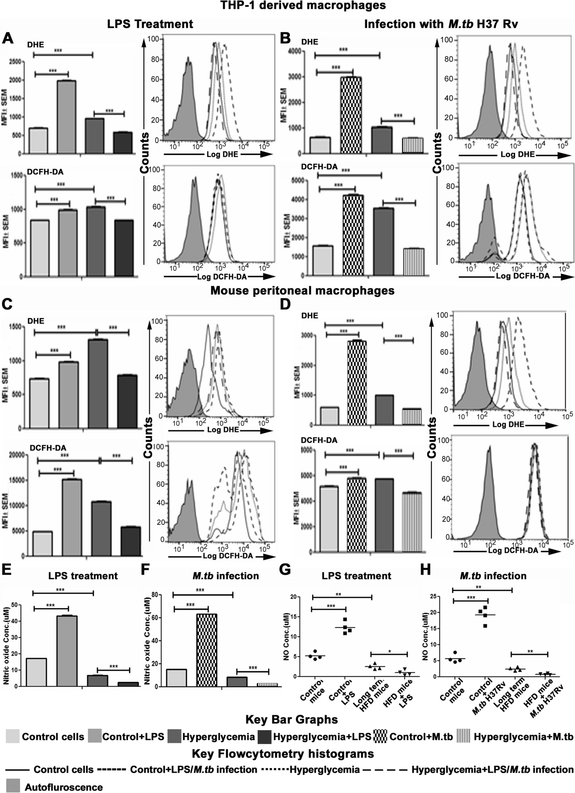 Chronic hyperglycemia impairs anti-microbial function of macrophages in response to Mycobacterium tuberculosis infection