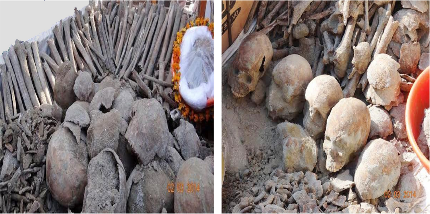 Use of strontium isotope ratios in potential geolocation of Ajnala skeletal remains: a forensic archeological study