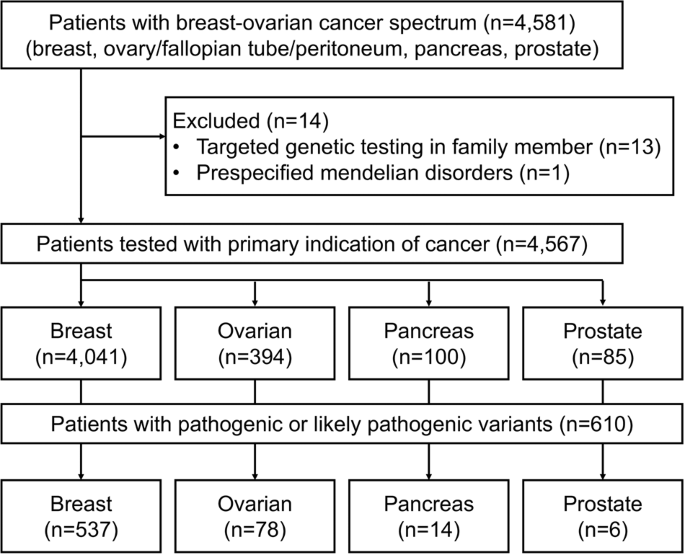 Germline mutations of 4567 patients with hereditary breast-ovarian cancer spectrum in Thailand