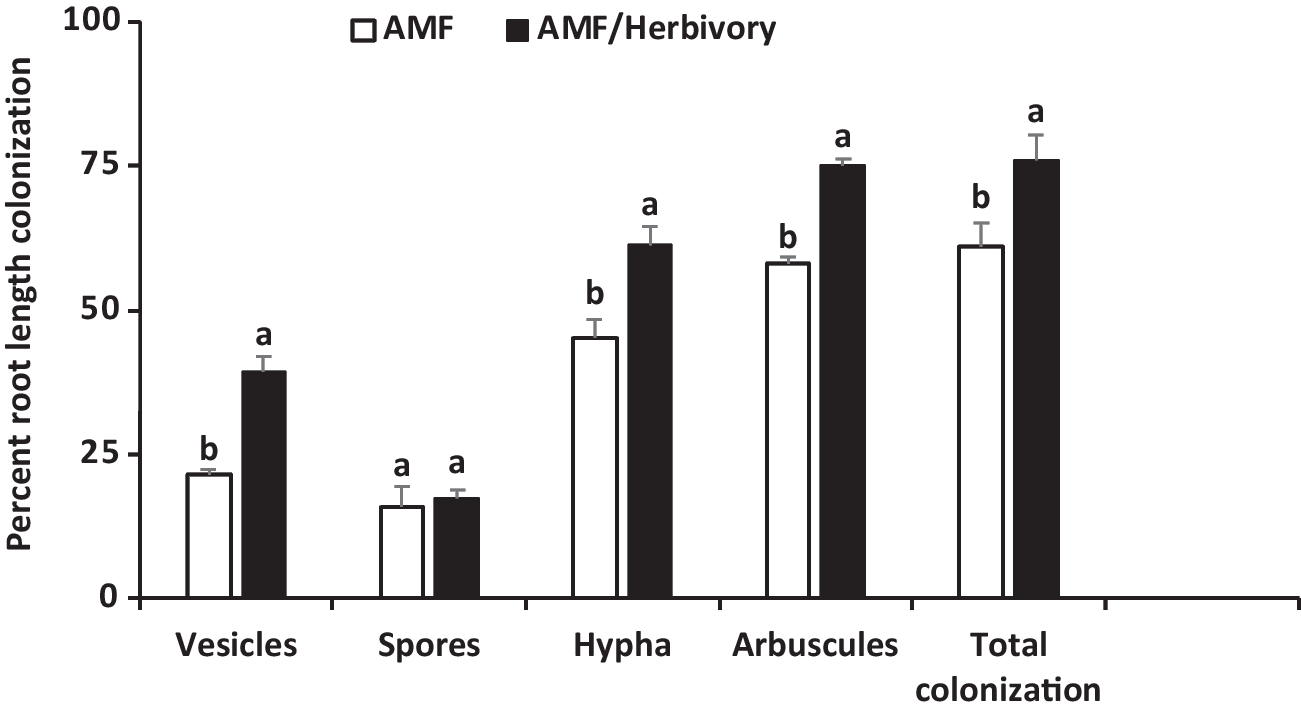 Arbuscular Mycorrhizal Fungi Inducing Tomato Plant Resistance and Its Role in Control of Bemisia tabaci Under Greenhouse Conditions