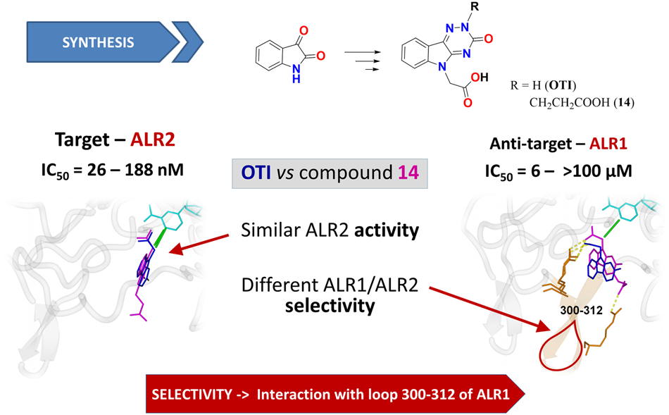 Selectivity of N(2)-substituted oxotriazinoindole aldose reductase inhibitors is determined by the interaction pattern with Pro301-Arg312 loop of aldehyde reductase