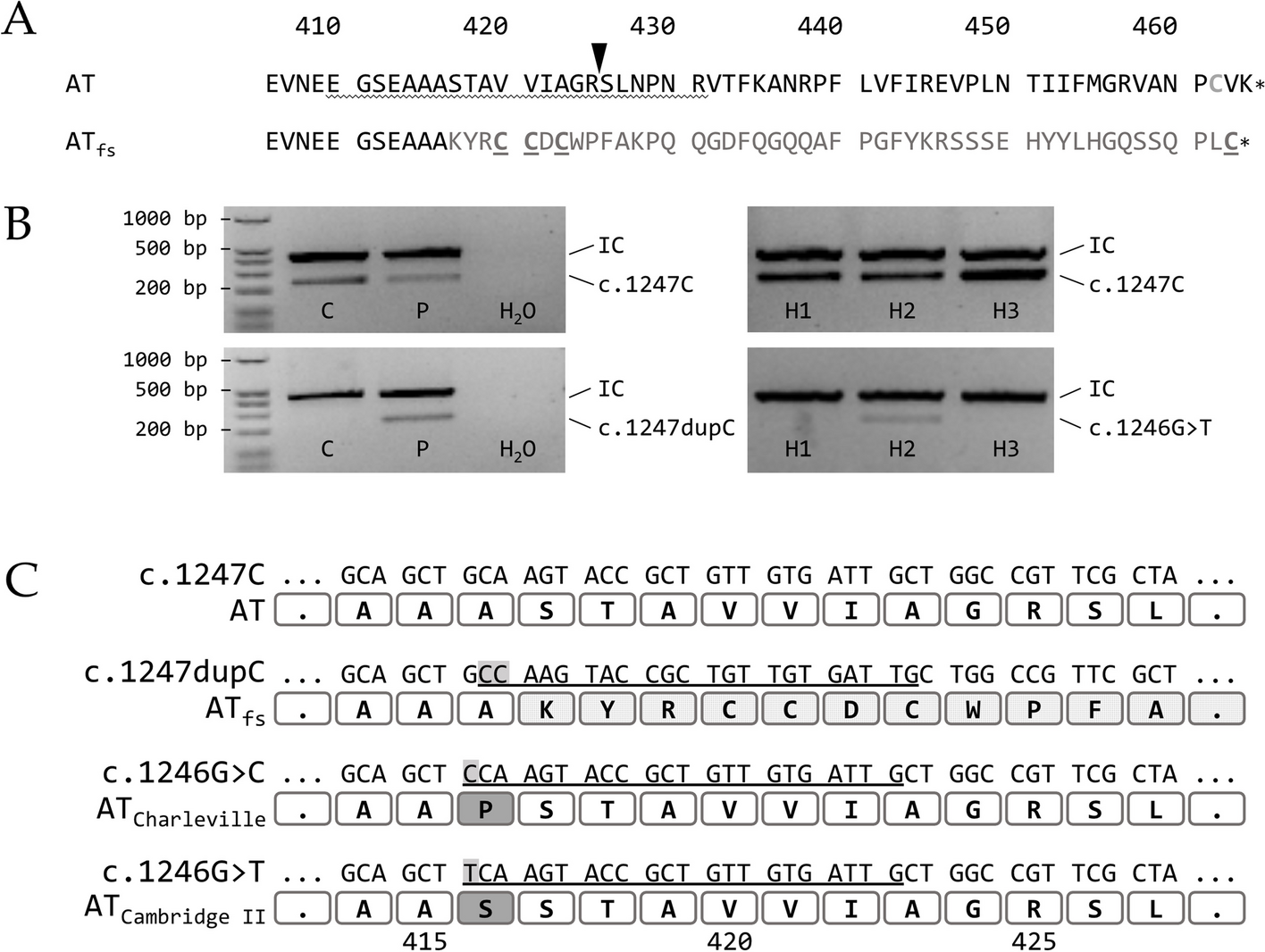 SERPINC1 c.1247dupC: a novel SERPINC1 gene mutation associated with familial thrombosis results in a secretion defect and quantitative antithrombin deficiency