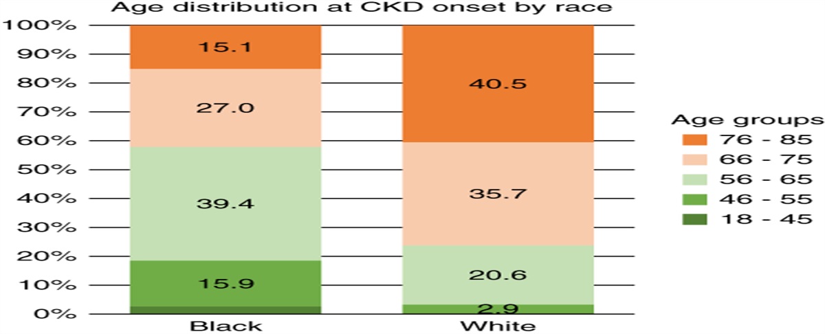 Role of Age and Competing Risk of Death in the Racial Disparity of Kidney Failure Incidence after Onset of CKD