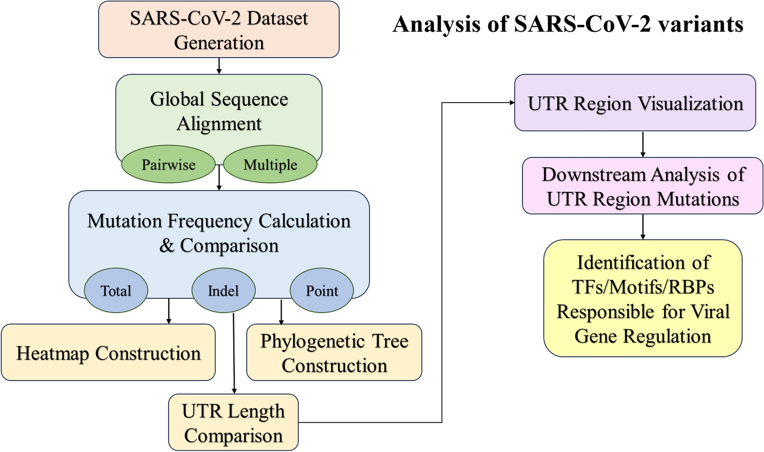Genome-wide mutation frequency variation among SARS-CoV-2 variants and its effects on the untranslated regions