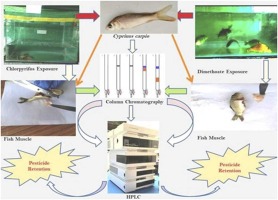 Assessing organophosphate insecticide retention in muscle tissues of juvenile common carp fish under acute toxicity tests