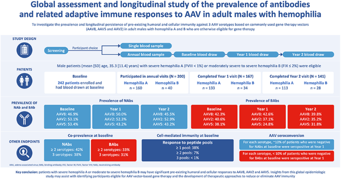 Multicenter assessment and longitudinal study of the prevalence of antibodies and related adaptive immune responses to AAV in adult males with hemophilia