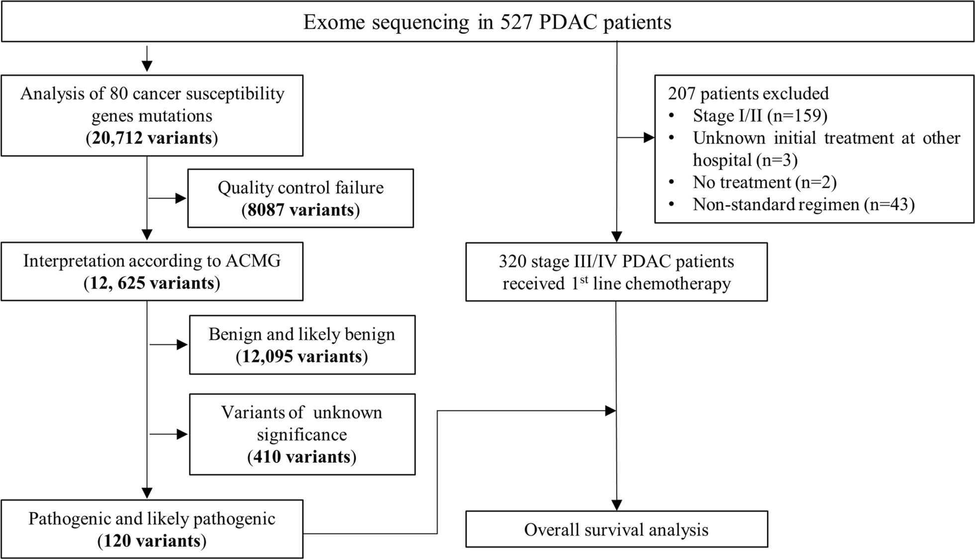 Germline mutations of homologous recombination genes and clinical outcomes in pancreatic cancer: a multicenter study in Taiwan