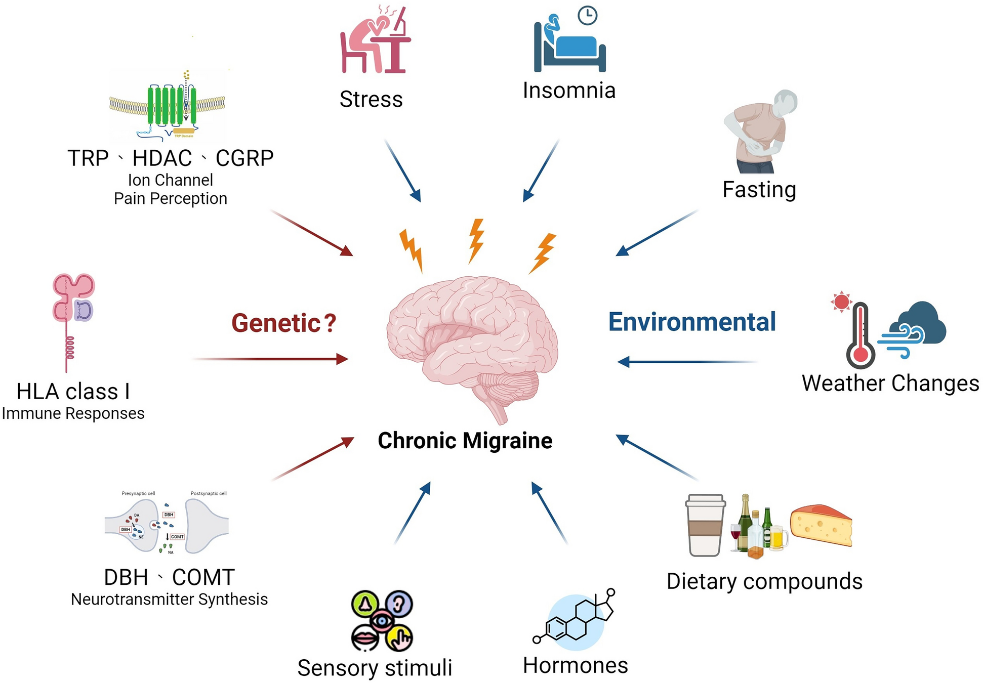 Influences of Genetic and Environmental Factors on Chronic Migraine: A Narrative Review