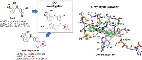 Structure-guided optimization of 3-hydroxybenzoisoxazole derivatives as inhibitors of Aldo-keto reductase 1C3 (AKR1C3) to target prostate cancer