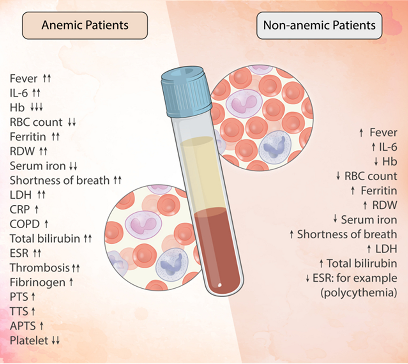 COVID-19 in patients with anemia and haematological malignancies: risk factors, clinical guidelines, and emerging therapeutic approaches