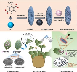 Near-infrared-responsive CuS@Cu-MOF nanocomposite with high foliar retention and extended persistence for controlling strawberry anthracnose