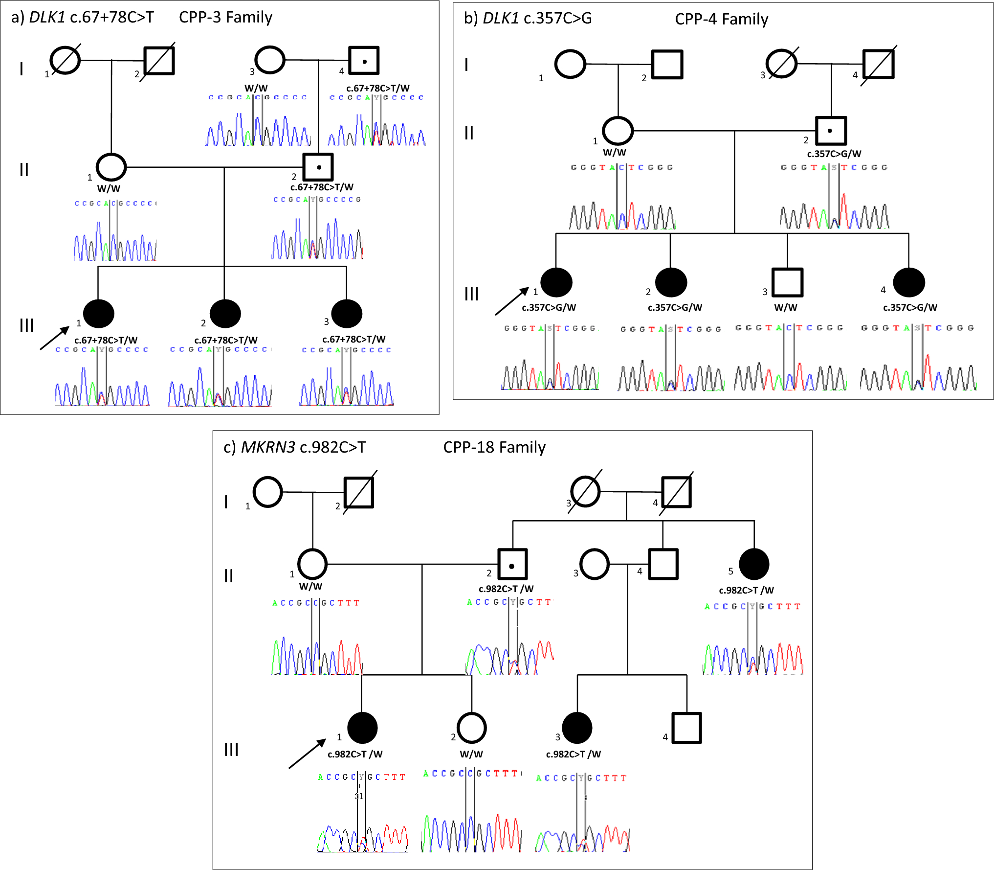 Novel variants ensued genomic imprinting in familial central precocious puberty