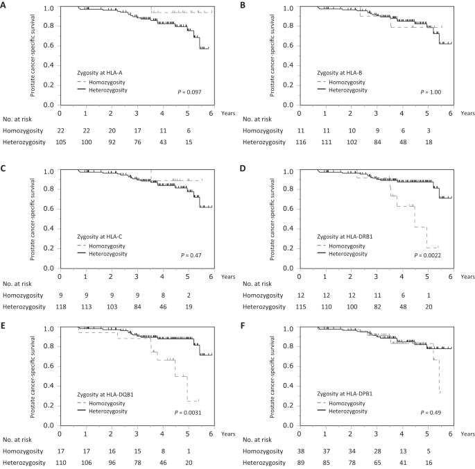 The effect of human leukocyte antigen genotype on survival in advanced prostate cancer treated with primary androgen deprivation therapy: the KYUCOG-1401-A study