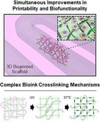 Decellularized matrix bioink with gelatin methacrylate for simultaneous improvements in printability and biofunctionality