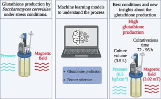 Machine learning modeling and additive explanation techniques for glutathione production from multiple experimental growth conditions of Saccharomyces cerevisiae