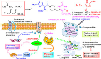Novel aminothiazoximone-corbelled ethoxycarbonylpyrimidones with antibiofilm activity to conquer Gram-negative bacteria through potential multitargeting effects