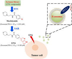 Identification of the exosomal PD-L1 inhibitor to promote the PD-1 targeting therapy of gastric cancer