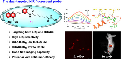 Novel estrogen receptor β/histone deacetylase dual-targeted near-infrared fluorescent probes as theranostic agents for imaging and treatment of prostate cancer