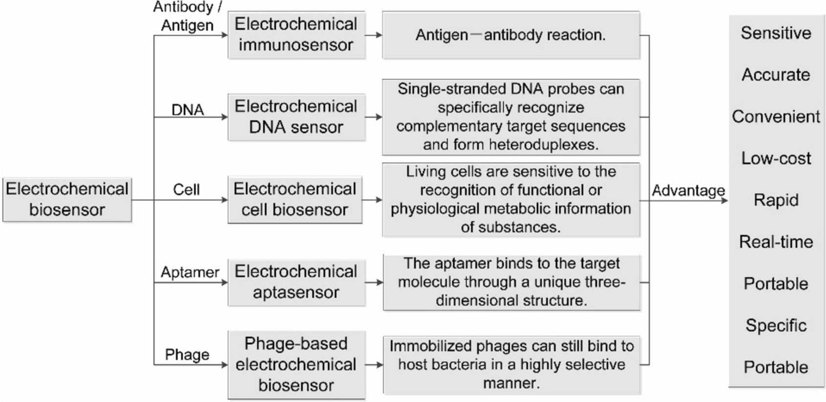 Electrochemical biosensors for pathogenic microorganisms detection based on recognition elements