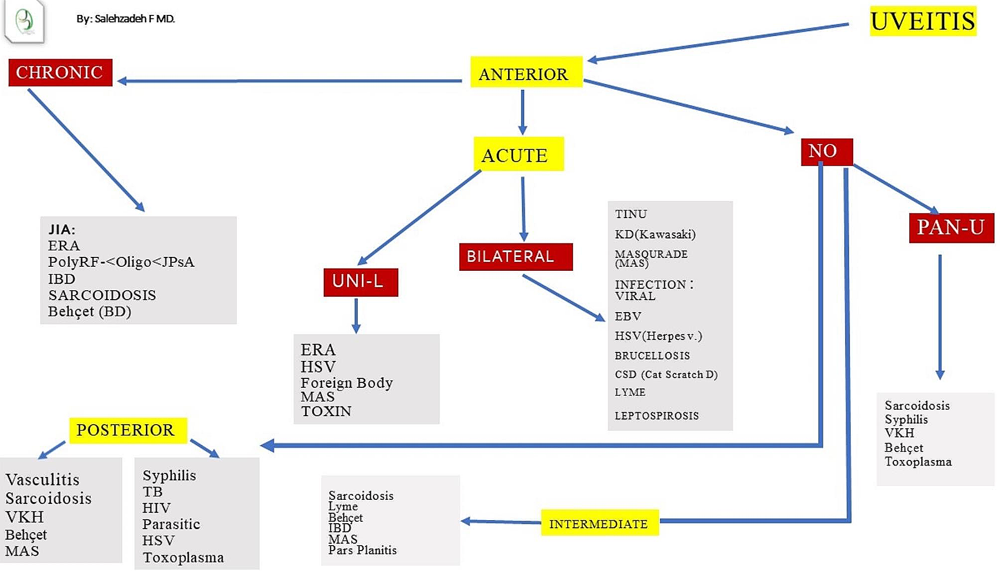 Algorithmic approach in the diagnosis of pediatric uveitis