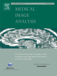 Hybrid unsupervised representation learning and pseudo-label supervised self-distillation for rare disease imaging phenotype classification with dispersion-aware imbalance correction