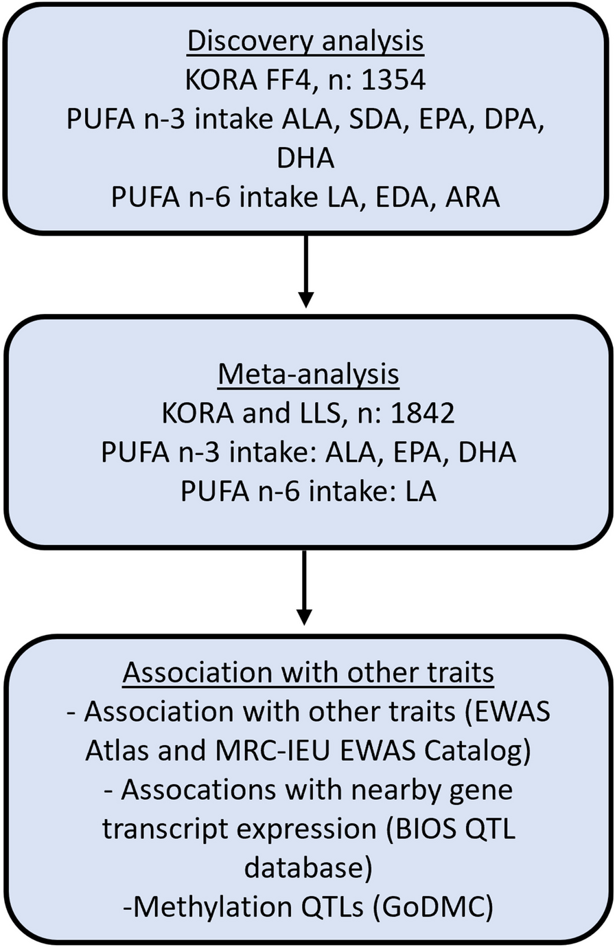 Epigenome-wide association study of dietary fatty acid intake