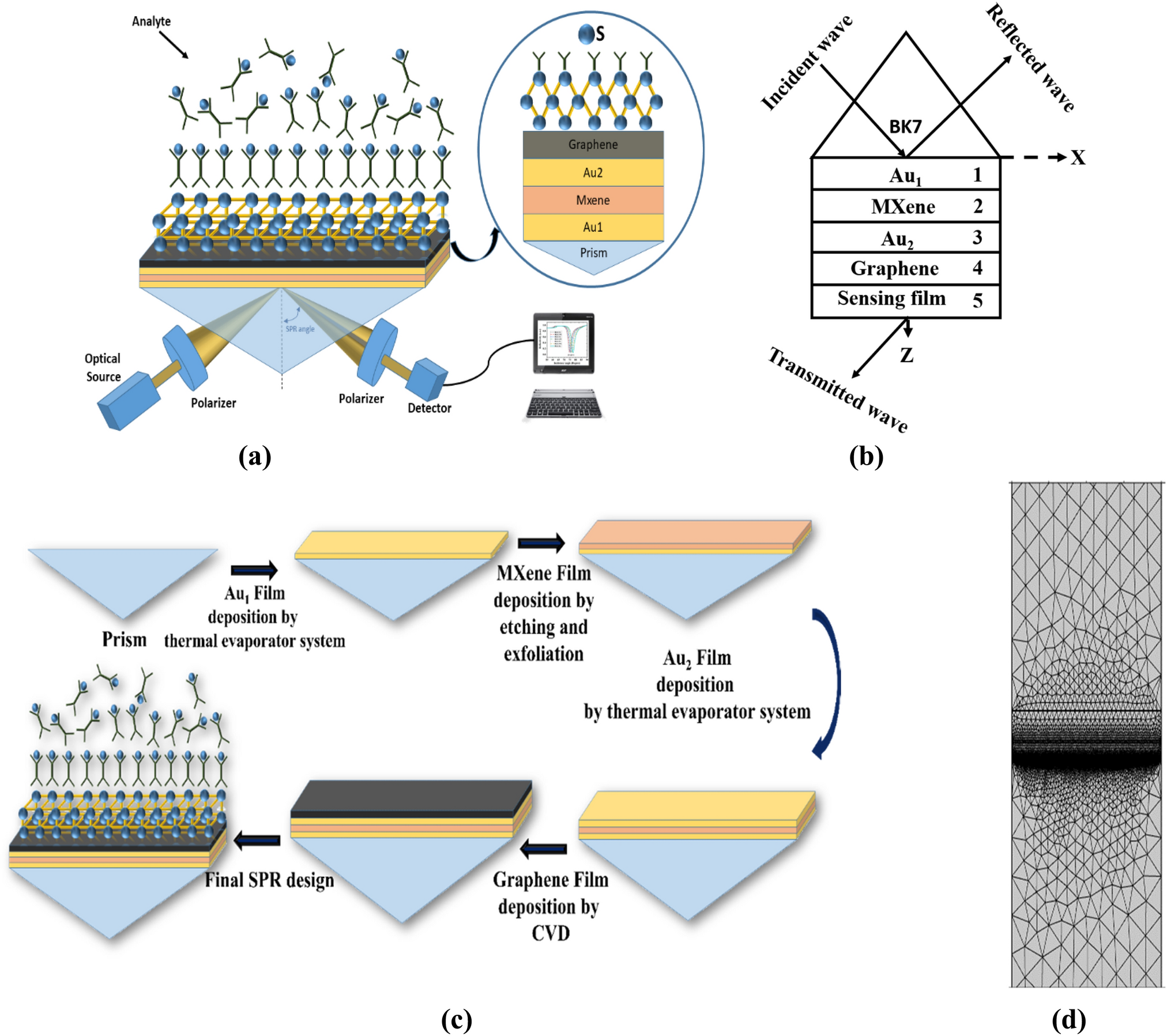 Gold, MXene, and graphene nanofilm-based surface plasmon resonance sensor for malaria detection