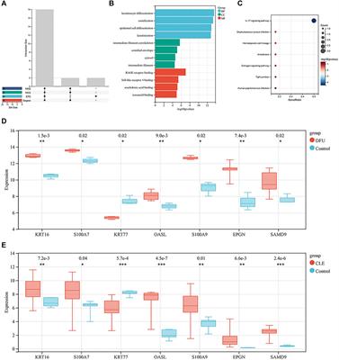 Identification of a shared gene signature and biological mechanism between diabetic foot ulcers and cutaneous lupus erythemnatosus by transcriptomic analysis