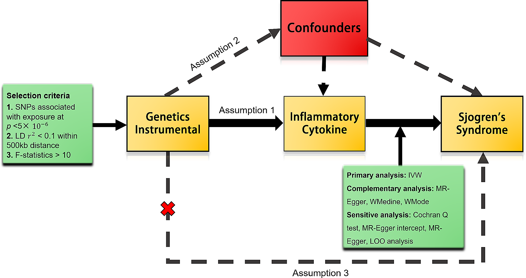 Inflammatory cytokines and their potential role in Sjogren’s syndrome risk: insights from a mendelian randomization study