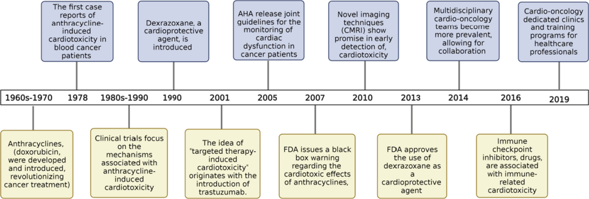 A Comprehensive Review of Cancer Drug–Induced Cardiotoxicity in Blood Cancer Patients: Current Perspectives and Therapeutic Strategies