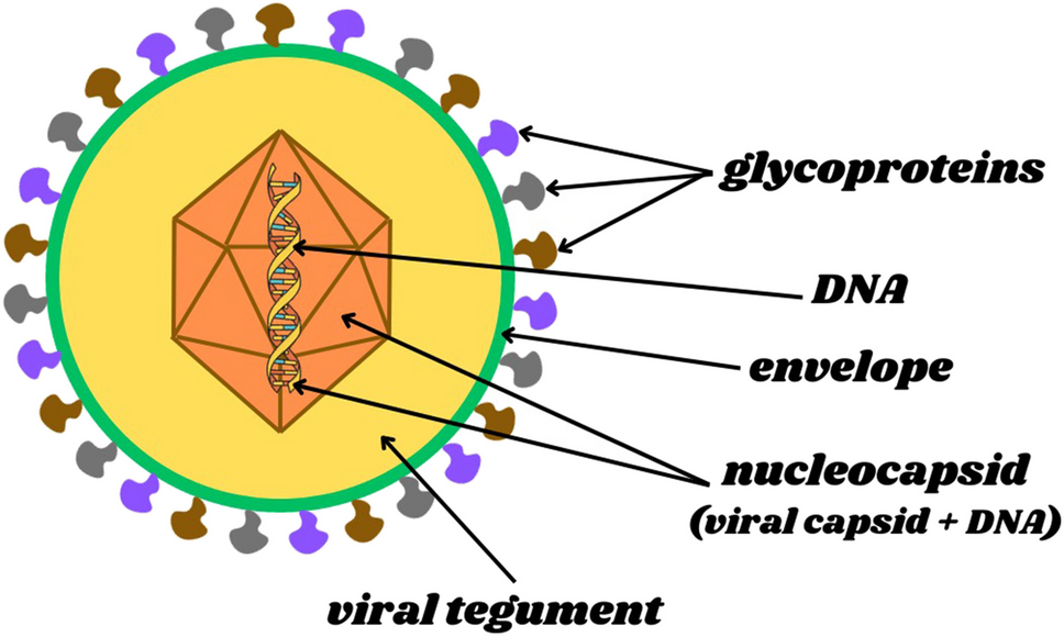 Antiviral Nanomedicine-Based Approaches against Epstein-Barr Virus Infection