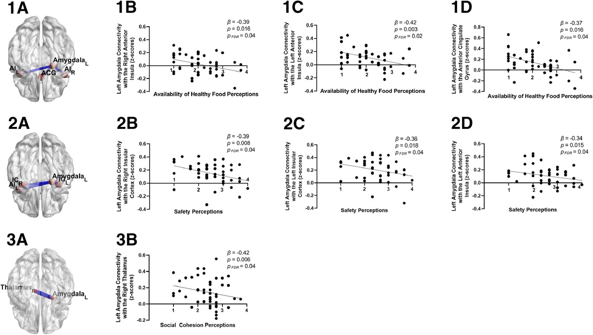 Neighborhood Perceptions Are Associated With Intrinsic Amygdala Activity and Resting-State Connectivity With Salience Network Nodes Among Older Adults
