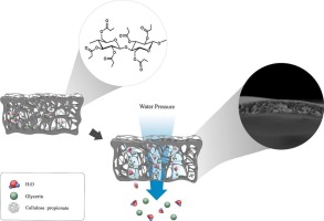 Derivation of porous cellulose propionate using hydrated hydroxyl groups and hydraulic pressure