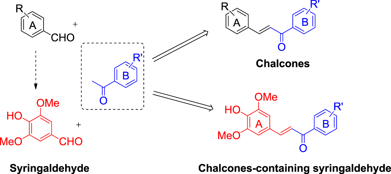 Synthesis, characterization, and anticancer activity of syringaldehyde-derived chalcones against female cancers