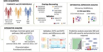 Immunological signatures unveiled by integrative systems vaccinology characterization of dengue vaccination trials and natural infection