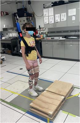 Children with bilateral cerebral palsy use their hip joint to complete a step-up task