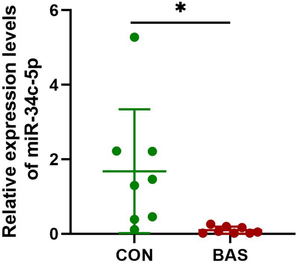 miR-34c-5p inhibited fibroblast proliferation, differentiation and epithelial-mesenchymal transition in benign airway stenosis via MDMX/p53 pathway