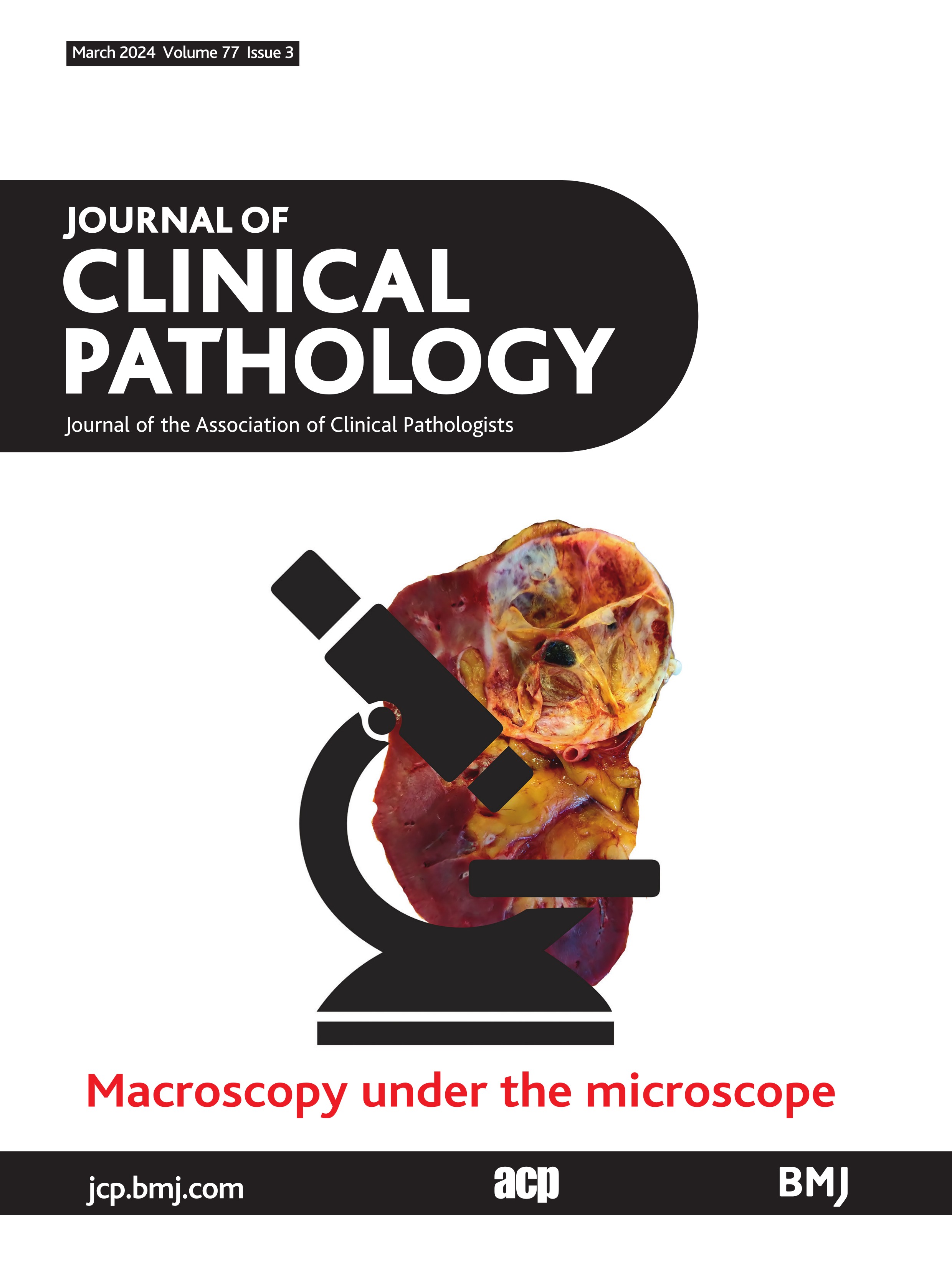 Macroscopic examination of pathology specimens: a critical reappraisal