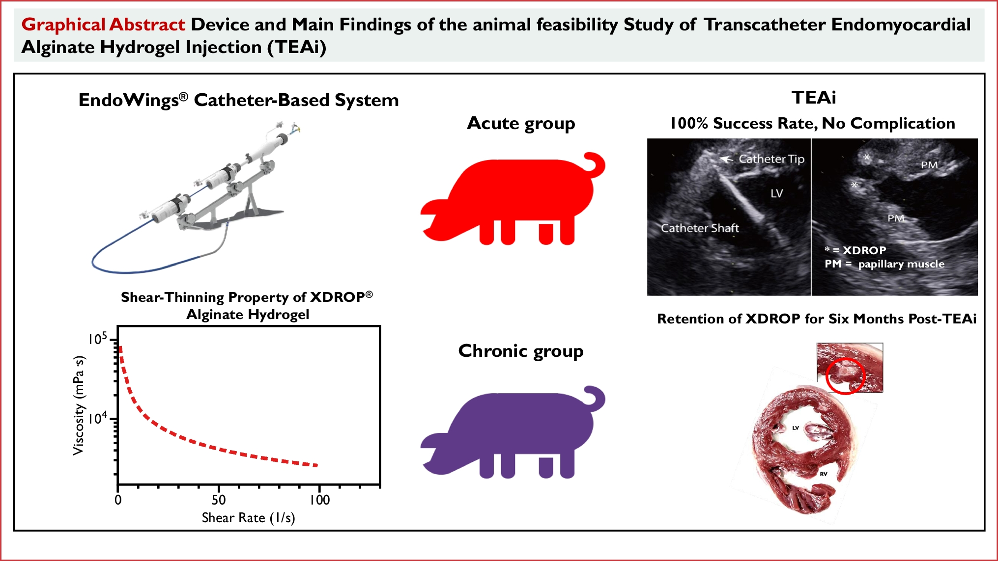 Percutaneous Alginate Hydrogel Endomyocardial Injection with a Novel Dedicated Catheter Delivery System: An Animal Feasibility Study