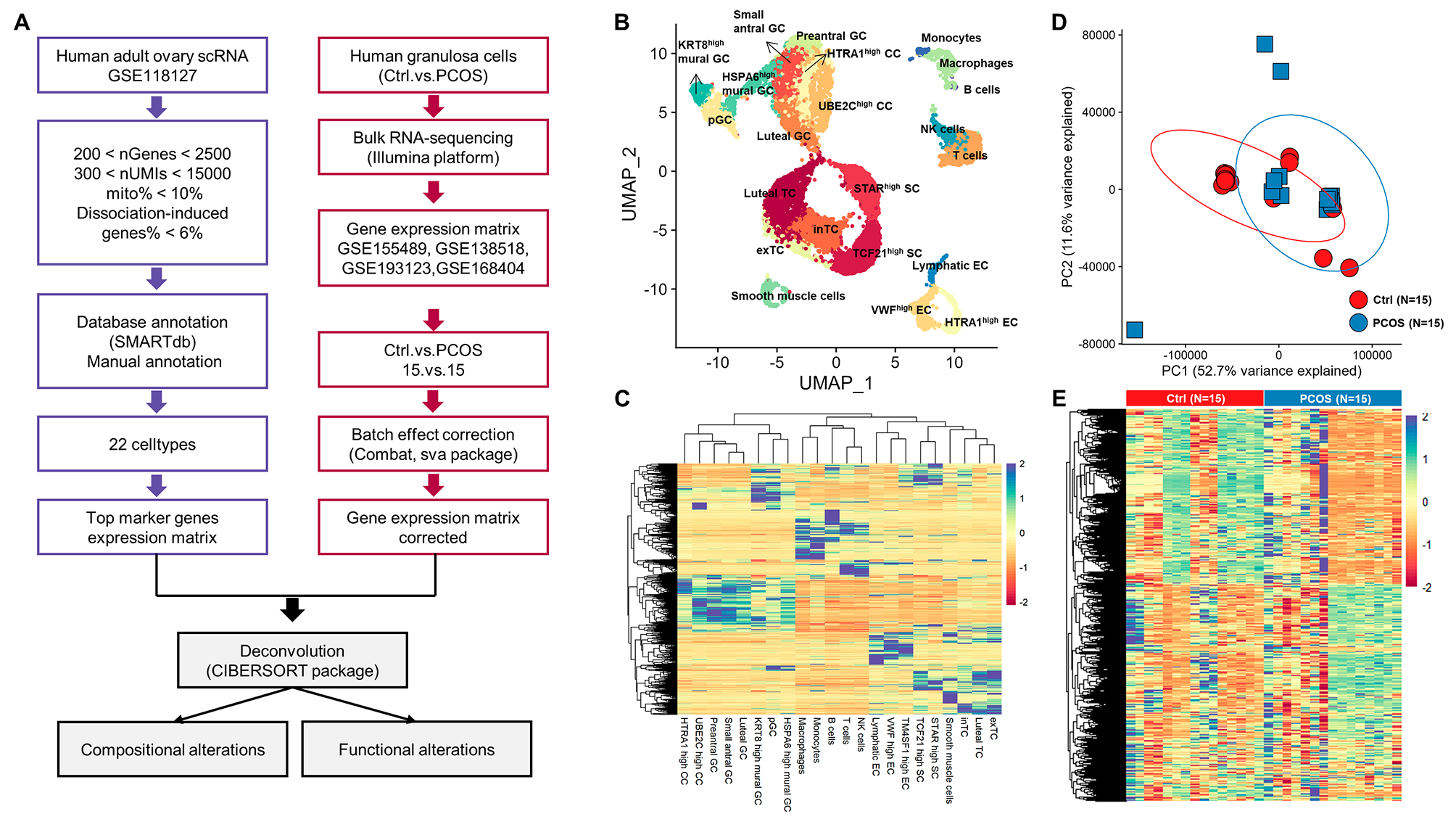 Deconvolution at the single-cell level reveals ovarian cell-type-specific transcriptomic changes in PCOS