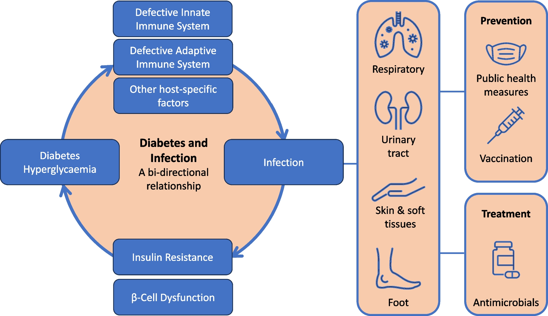 Diabetes and infection: review of the epidemiology, mechanisms and principles of treatment