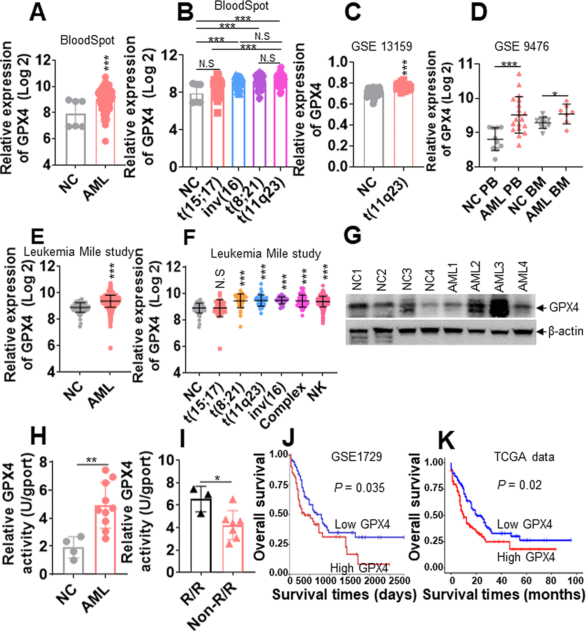Low-dose hypomethylating agents cooperate with ferroptosis inducers to enhance ferroptosis by regulating the DNA methylation-mediated MAGEA6-AMPK-SLC7A11-GPX4 signaling pathway in acute myeloid leukemia