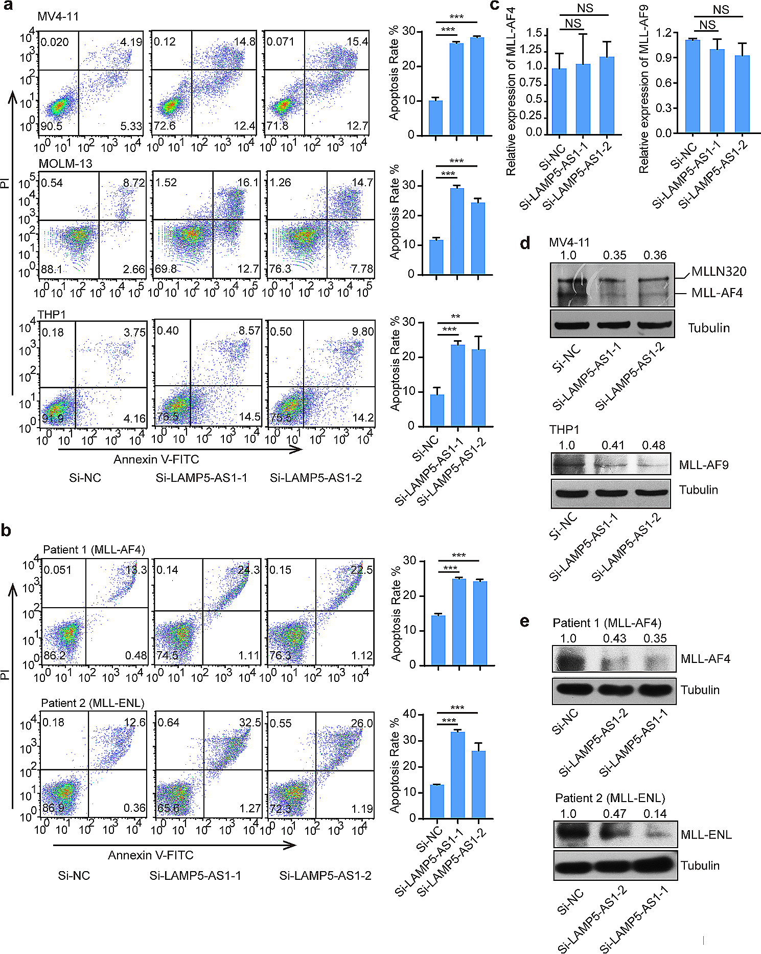 Blockade of the lncRNA-DOT1L-LAMP5 axis enhances autophagy and promotes degradation of MLL fusion proteins