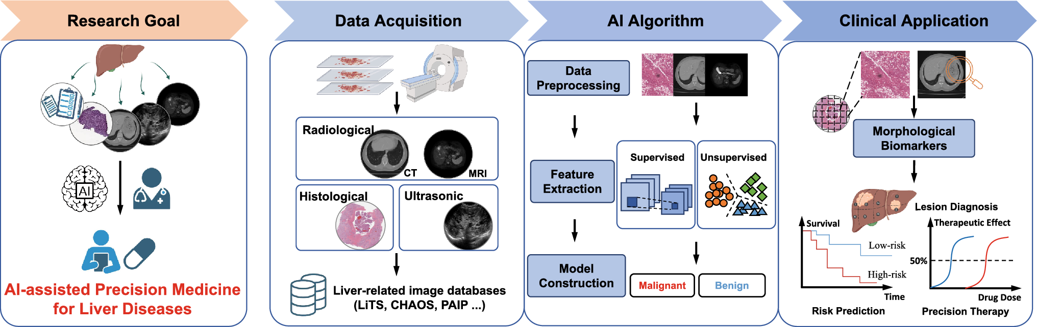 Artificial intelligence in liver imaging: methods and applications