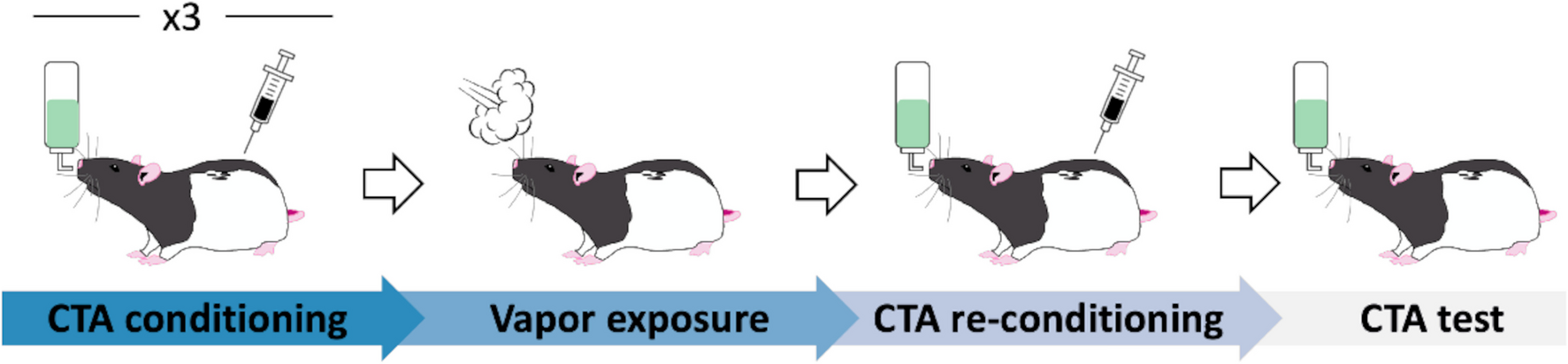 Attenuated incubation of ethanol-induced conditioned taste aversion in a model of dependence