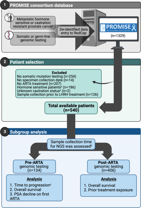 Clinical implications of AR alterations in advanced prostate cancer: a multi-institutional collaboration
